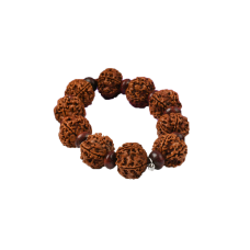 5 Mukhi Nepal Rudraksha Beads Bracelet - II