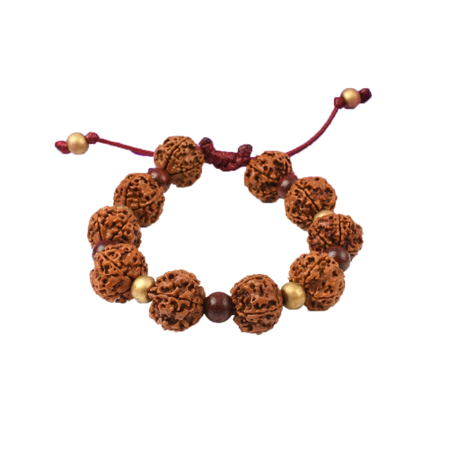 5 mukhi Nepal Rudraksha bead Bracelet - VIII