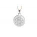 Shree Durga Yantra Locket