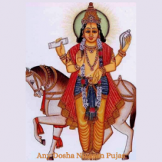 Any Dosha Nivaran pujas