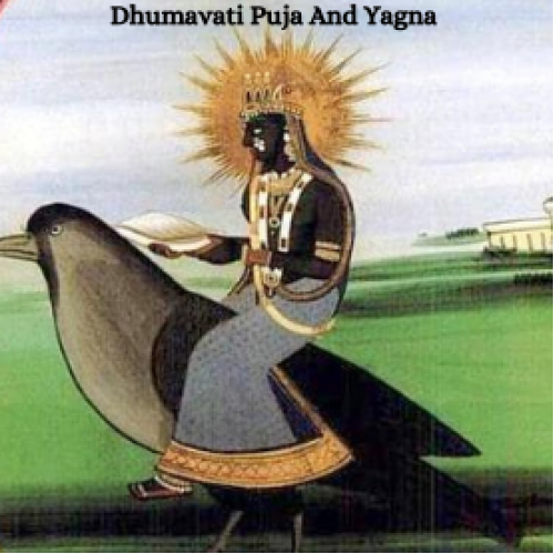 Dhumavati Puja and Yagna 