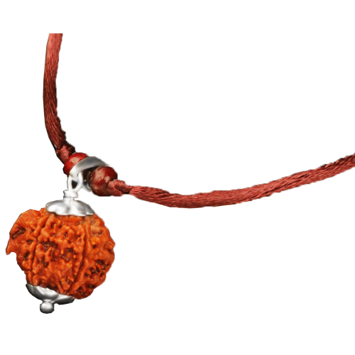 Ganesh Rudraksha Nepal Silver Capped in Thread -20mm