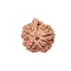 Ganesh Rudraksha from Nepal -20mm