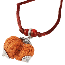 Garbh Gauri Rudraksha Java Silver Capped in Thread-14mm