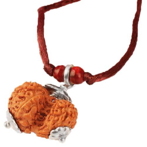 Garbh Gauri Rudraksha Java Silver Capped in Thread-14mm