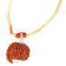 Savar Naag 6 Mukhi Rudraksha Nepal Silver Capped in Thread -22mm