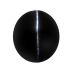 Black Cats Eye - 6.20 carats