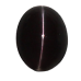 Black Cats Eye - 2.60 carats