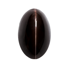 Black Cats Eye - 4.50 carats