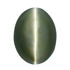 Cats eye - Orissa - Bihar - 15.50 Carats