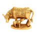 Gau Mata in Brass - ii