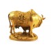 Gaumataith Calf in Brass