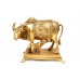 Gaumataith Calf in Brass