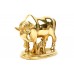 Gaumata in Brass