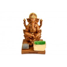 Ganesha Bhumi Tatva