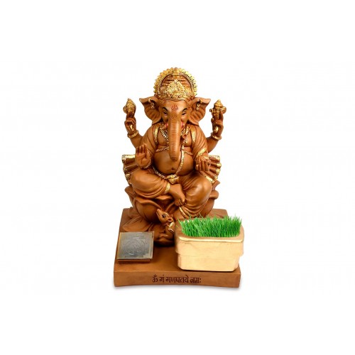 Ganesha Bhumi Tatva