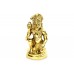 Hanuman the Protector