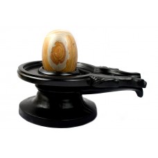 Shivnetra Narmada Shiva Lingam