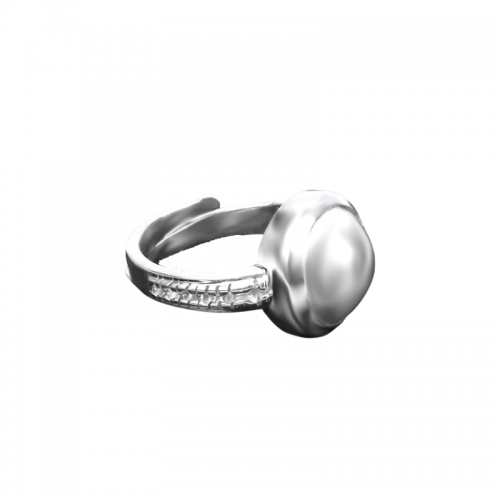 Siddh Parad Ring