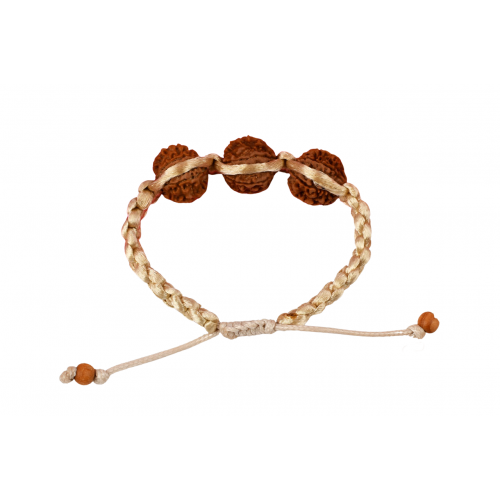 7 Mukhi Rudraksha Shree Bracelet