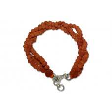 Divine 5 Mukhi Rudraksha Bracelets