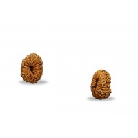 18 Mukhi Rudraksha
