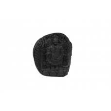 Tirupati Balaji Shaligram Murti - xx