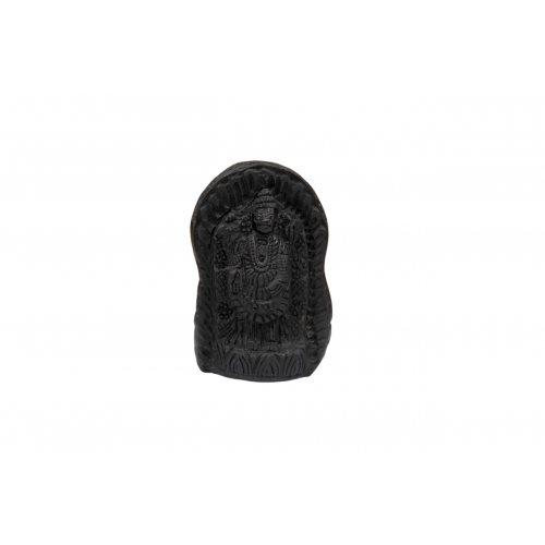 Tirupati Balaji Shaligram Murti - xviii