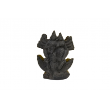 Shriman Narayan Shaligram Murti - vi