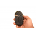 Tirupati Balaji Shaligram Murti - xxxviii