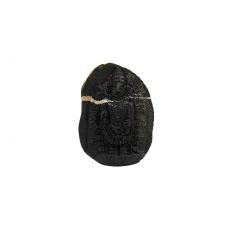 Tirupati Balaji Shaligram Murti - xxxviii