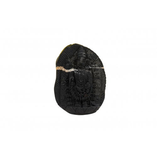 Tirupati Balaji Shaligram Murti - xxxviii