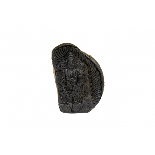 Tirupati Balaji Shaligram Murti - xxxix