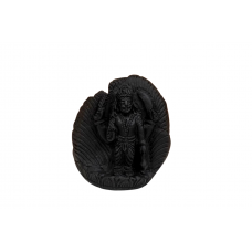 Vishnu Shaligram Murti