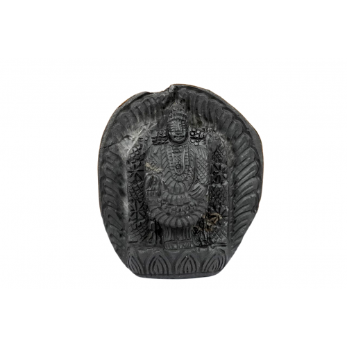 Tirupati Balaji Shaligram Murti - viii