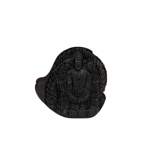 Tirupati Balaji Shaligram Murti - xiii