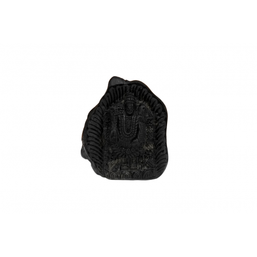 Tirupati Balaji Shaligram Murti - xiv