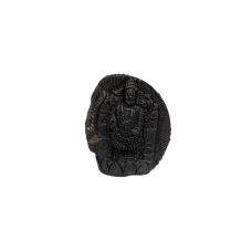 Tirupati Balaji Shaligram Murti - xxii