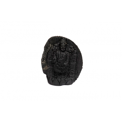 Tirupati Balaji Shaligram Murti - xxii