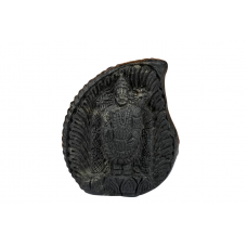 Tirupati Balaji Shaligram Murti - xxv