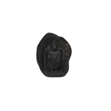 Tirupati Balaji Shaligram Murti - xxxi