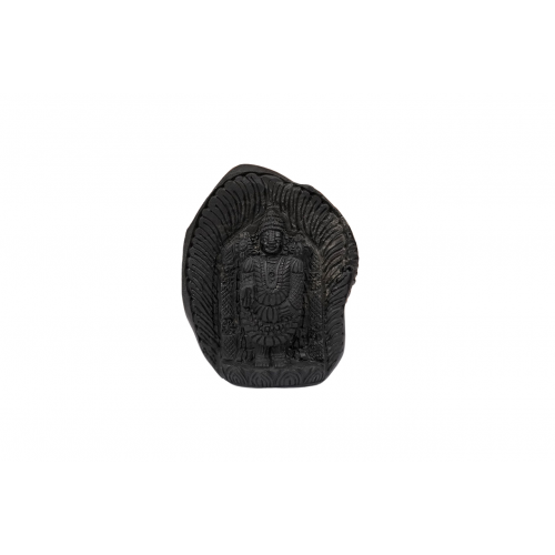 Tirupati Balaji Shaligram Murti - xxxi