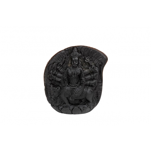 Durga Maa Shaligram Murti - v