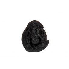 Ganesha Shaligram Murti - i