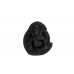 Ganesha Shaligram Murti - i