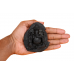 Ganesha Shaligram Murti - i