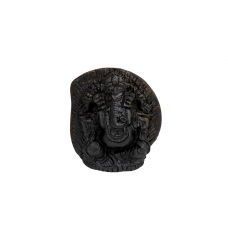 Ganesha Shaligram Murti - iii