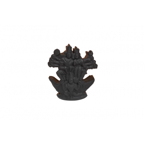 Sriman Narayan Shaligram Murti - ii