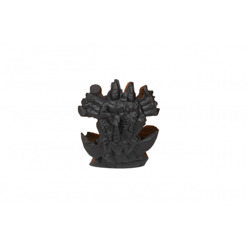 Shriman Narayan Shaligram Murti - v