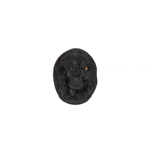 Ganesha Shaligram Murti